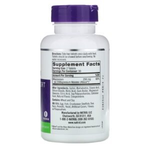 Natrol High Absorption Magnesium 250 mg 60 Tablets