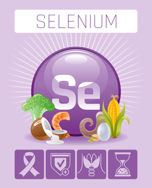 food rich of selenium
